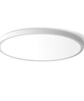 Ultra Thin 12 Inch LED Flush Mount Ceiling Light With 5000K Daylight White 24W 240W Equivalent No Dimming No Frills