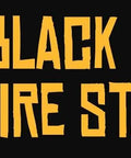 Black Beard Fire Starters logo with stylized pirate face and bold yellow text on black background.