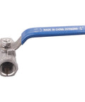 Stainless Steel Ball Valve One Quarter Inch NPT Standard Port One Piece Serviceable With Female To Female Threads Blue Vinyl Insulated Handle 304 Stainless For Water Oil And Gas Minus Sixty Fahrenheit To Four Hundred Fifty Fahrenheit