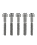 Upgrade Your Whips With These Tough As Nails M6 Titanium Alloy Bolts Featuring Slick Silver Hex Flange Heads For Heavy Duty Bike And Moto Upgrades Providing Unmatched Grip And Smoother Rides Daily - set of five bolts
