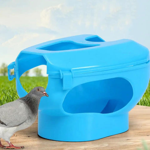 Sky-blue pigeon injection holder and fixed frame rack for easy feeding beside a pigeon, durable plastic bird holder.