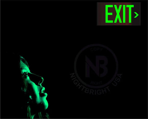 Frameless Red Photoluminescent Exit Sign With Removable Arrows No Wiring Required UL 924 Listed NFPA 101 IBC Compliant Aluminum Construction