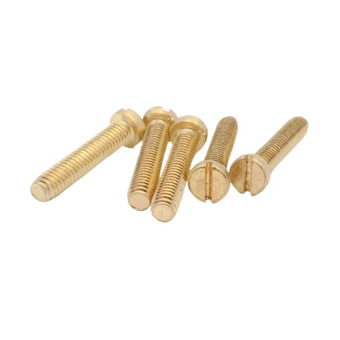 Top Shelf Solid Brass Slotted Cheese Head Machine Screws showing five screws, M2 to M8 sizes, perfect for garage builds.