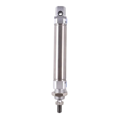 Double Acting Pneumatic Cylinder DSNU 25mm Bore 80mm Stroke PPV A 19247 Industrial Air Cylinder vertical front view