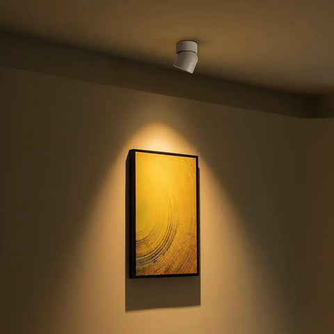 Dimmable LED Ceiling Spotlight Kit 2 Pack With 7W White Directional Accent Lights illuminating artwork on wall