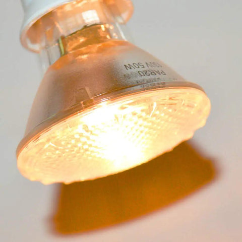 PAR20 50W Halogen Flood Light Bulbs With E26 Base Dimmable 30 Degree Narrow Beam For Range Hoods Ceiling Fans Table Lamps And Display Showcases Long Lasting Up To 2000 Hours