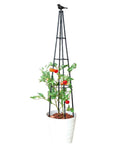 67 Inch Obelisk Garden Trellis for Cucumber and Climbing Plants Yard Ready Outdoor Plastic Coated Metal Support with Tomato Plant
