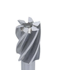 End mill (HSS) with six flutes and a 3/4 in shank, close-up of cutting head