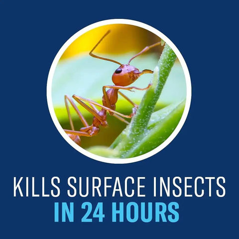 Complete Insect Killer For Soil And Turf 10 Lb Granules Kills Surface Insects Grubs And Ticks With Two Way Formula Treats Fast