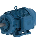 Three Phase Motor 5 HP 4 Pole 182 Frame Cast Iron Housing With V Ring Seal And ZZ 6207 Bearings For Heavy Duty Industrial Use