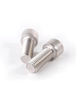 Top Shelf M4 Hex Socket Head Caps Forged From Marine Grade 316 Stainless Steel Din 912 Full Thread Allen Hardware For Heavy Duty Auto Builds Rock Solid 20 Piece Pack, showing two stainless steel hex socket screws.