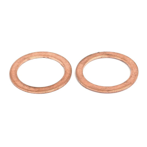 Two copper flat sealing washers, 18mm ID x 24mm OD x 1mm thick.
