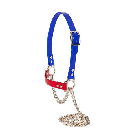 Next Level Sheep And Goat Halter In Blue And Red, Waterproof, Fully Adjustable And Easy To Clean, High Gloss TPU Webbing For Strength