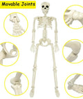 36 Inch Full Body Skeleton Prop with Movable Joints Realistic Plastic Bones showing six adjustable joints for Halloween decor