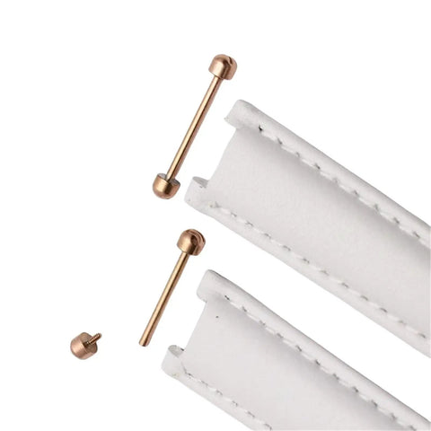 Watch Band Repair Kit For 16mm 18mm 20mm 22mm Sizes, friction tubes and watch band shown