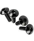 4Pcs M6x12mm Black Allen Bolts 304 Stainless Steel Socket Head Cap Screws in close-up view showcasing the sleek design.