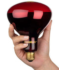 Hand holding Near Infrared Red Light Therapy Bulb 250W 120V NIR A for Home Wellness E26 Base RoHS CE Certified