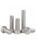Heavy Duty Top Shelf Stainless Steel M3 Cheese Head Machine Screws With Slotted Heads, pack of five varying lengths.