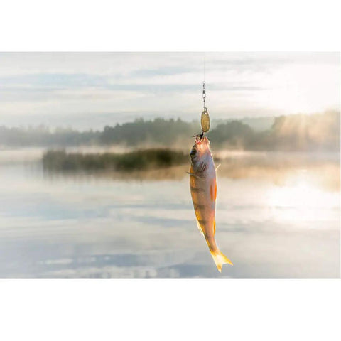 Fish caught on stainless steel fishing swivels with ball bearing snap interlock design in tranquil lake setting.