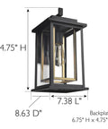 Hayward 1 Light Indoor Outdoor Wall Light With Clear Glass Dimmable Sleek Black And Gold Finish Weatherproof Steel dimensions