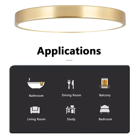 12 Inch Brushed Gold Metal Flush Mount LED Ceiling Light with 3000K to 5000K Adjustable Color Temperature, application icons shown