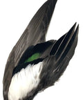 Complete Wood Duck Wings Pair Premium Number One Grade Wigeon Wings All Natural Scent No Chemicals Professionally Washed
