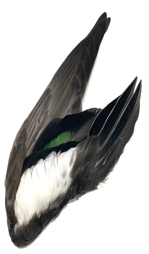 Complete Wood Duck Wings Pair Premium Number One Grade Wigeon Wings All Natural Scent No Chemicals Professionally Washed