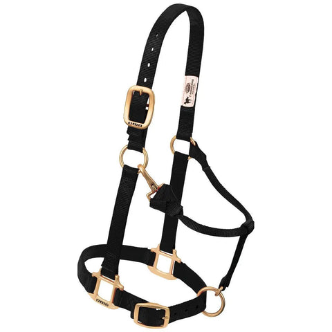 Adjustable Nylon Horse Halter For Weanlings And Ponies Durable Nylon With Triple Ply Cheek Box Stitch Reinforcement Built To Last
