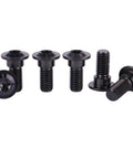 Badass Grade 5 Titanium Motorcycle Brake Rotor Bolts M8 X 20mm And 25mm CNC Anodized Black showing 6 screws with flush heads.