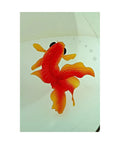 Round Glass Vessel Sink 16.5 Inch Durable Tempered Glass Bathroom Basin With Chrome Drain Koi Fish Design close-up detail