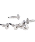 Rust-Proof 304 Stainless Self-Drilling Screw Set With Round Washer Head, M4.8x19 size, shown on white background