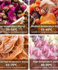 Visual guide for temperature ranges in drying modes, featuring dried fruits, tea, and seafood with detailed temperature settings.