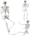 5.4Ft Life Size Halloween Skeleton with Movable Joints for Indoor Outdoor Setup, sitting, standing, and posing on white background