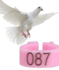 8mm Plastic Pigeon Leg Bands Rings With Numbers 001 To 100 In A 100 Count Bag Six Color Options For Easy Bird Identification