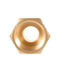 Top view of a brass NPT hex bushing adapter showing internal threading and hexagonal shape for secure pipe connections.