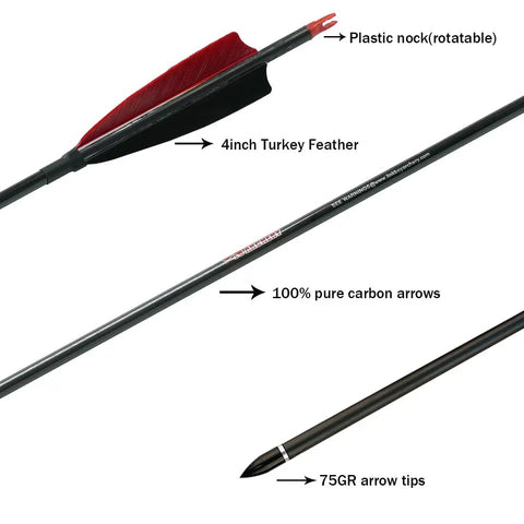Dope Pure Carbon Arrows For Compound Bow Spine Options 300 To 800 32 Inch Length With 5 Inch Turkey Vanes 12 Pack close-up