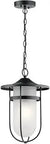 Black Go-To One Light Outdoor Pendant, Aluminum Construction, Damp Location Rated, 5 Inch Backplate shown hanging