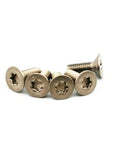 Premium Grade 2 Titanium Countersunk Screw Set Crisp Torx Drive Metric Fasteners with dark grey finish, five screws.