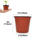 Hand holding 100 Count 4 Inch Plastic Seed Starter Pots For Seedlings Cuttings And Transplants next to another pot with dimensions.
