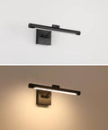 Sleek 16.53 Inch LED Picture Light For Paintings, Black Wall Lamp With Rotatable Light Tube, 3000K Warm White, High CRI Over 80