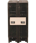 CH Series Two-Pole 125 Amp Circuit Breaker For Your Go-To Home Electrical Panels With Overload And Short-Circuit Protection Three Quarter Inch Wide Fits Standard Panels front view