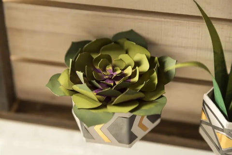 Explore Air 2 Craft Cutting Machine for DIY Home Decor and Apparel used for creating paper succulent in geometric pot