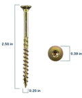 Heavy Duty Yellow Zinc Plated Deck Screws Number 10 By 2 1/2 Inch With Torx Star Drive, showing dimensions and design.