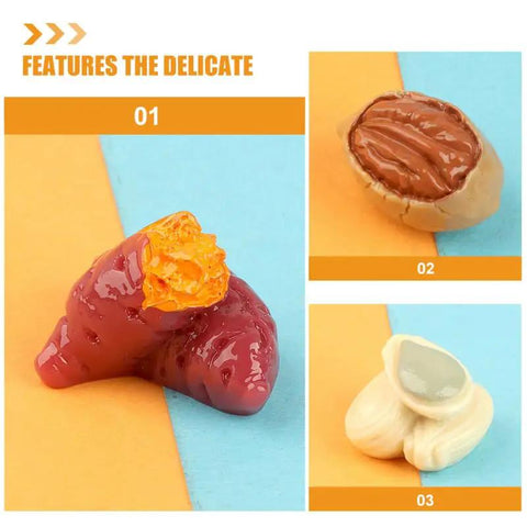 15-Piece Realistic Miniature Nut Set for Dollhouses, Resin nuts featuring walnut, peanut, and pistachio, perfect for doll food scenes