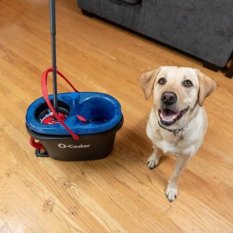 RinseClean Spin Mop And Bucket System For Clean Water Mopping Lets You Clean With Clean Water From Start To Finish with dog