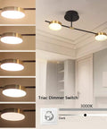 Sleek 2 Light LED Ceiling Light Fixture Semi Flush Mount, 15W Dimmable Warm White 3000K, Black and Gold Finish, dimmer settings