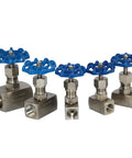 Five VARMHUS high-pressure needle valves with blue handles and female threaded ends, 316 stainless steel, 3/8 inch size