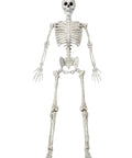 6.9 Foot Poseable Life Size Skeleton For Halloween Decor Indoor Outdoor Spooky AF Scene Props With Movable Joints Realistic White Bone