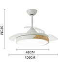 Super Sleek Modern Flush Mount Ceiling Fan With Lights 48CM in diameter, 37CM tall with a solid wood accent and acrylic cover.
