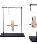 Rolling Pendulum Interactive Toy For STEM Education Reusable Physics Demonstration Kit showing metal frame and pendulum details